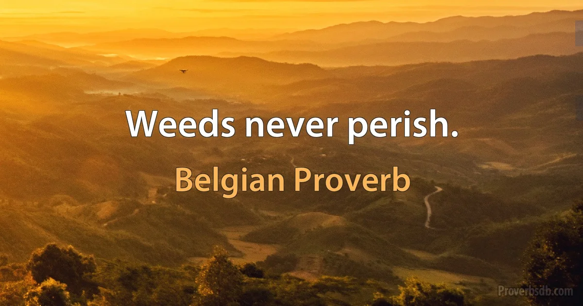 Weeds never perish. (Belgian Proverb)