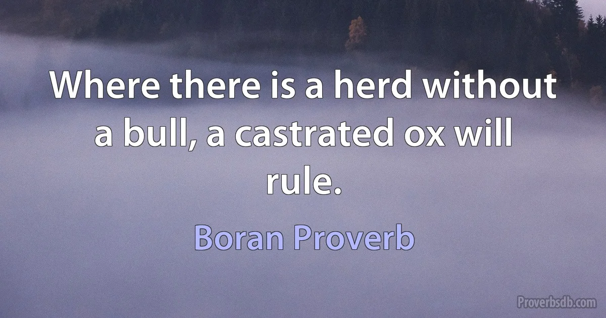 Where there is a herd without a bull, a castrated ox will rule. (Boran Proverb)