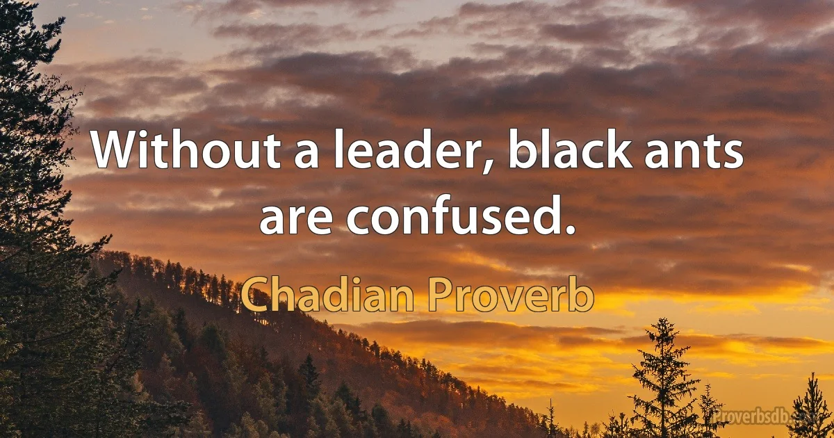 Without a leader, black ants are confused. (Chadian Proverb)