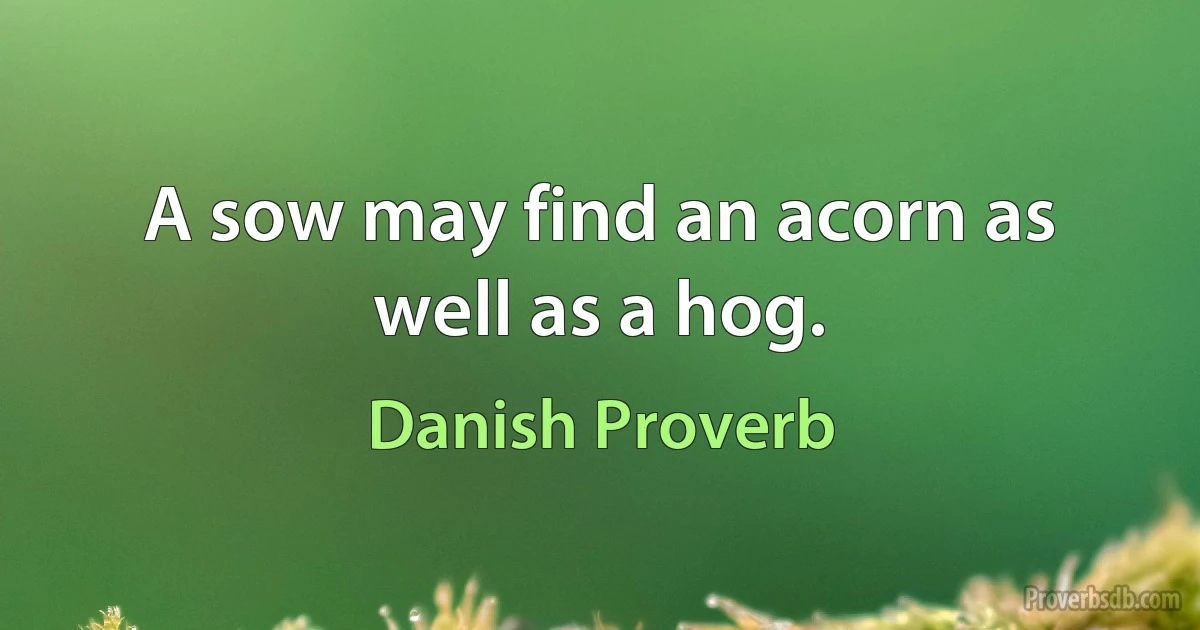 A sow may find an acorn as well as a hog. (Danish Proverb)