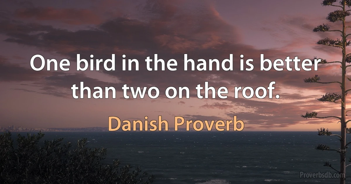 One bird in the hand is better than two on the roof. (Danish Proverb)