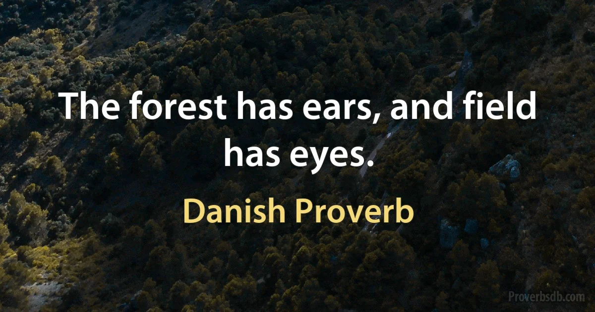 The forest has ears, and field has eyes. (Danish Proverb)