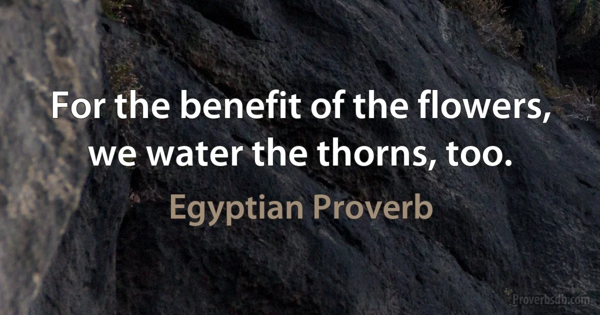 For the benefit of the flowers, we water the thorns, too. (Egyptian Proverb)