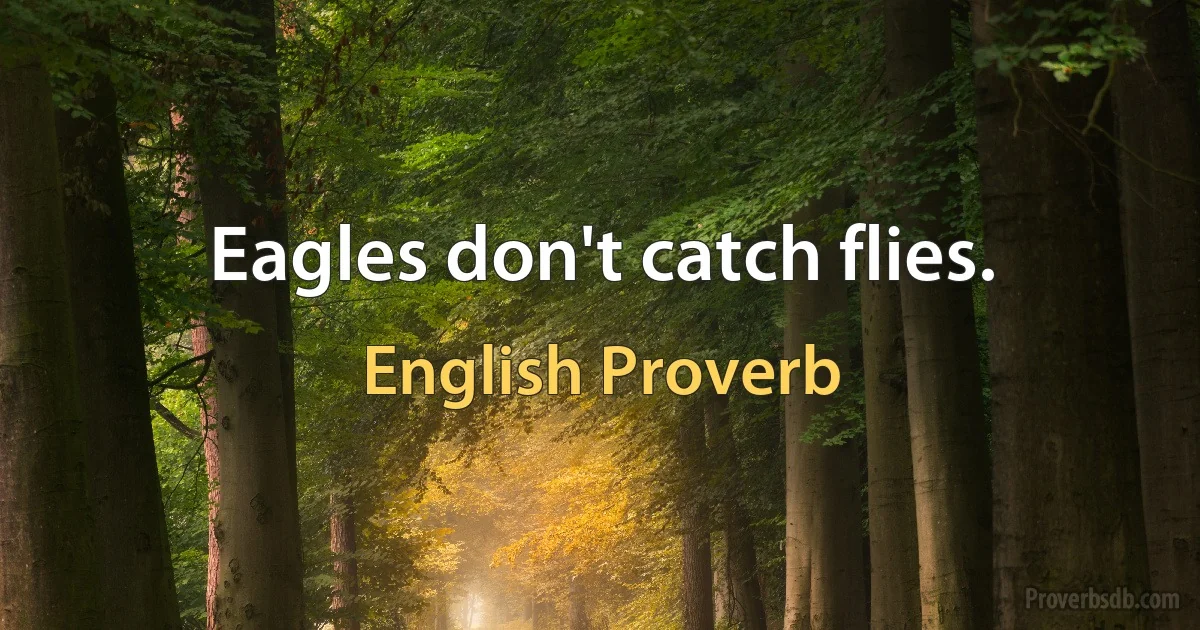 Eagles don't catch flies. (English Proverb)