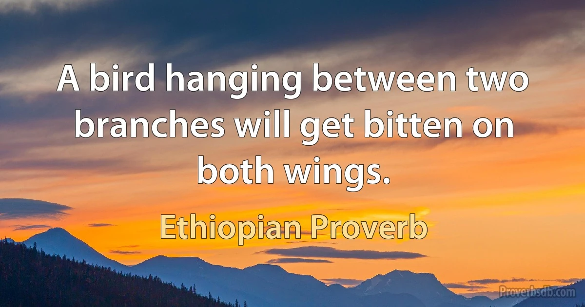 A bird hanging between two branches will get bitten on both wings. (Ethiopian Proverb)