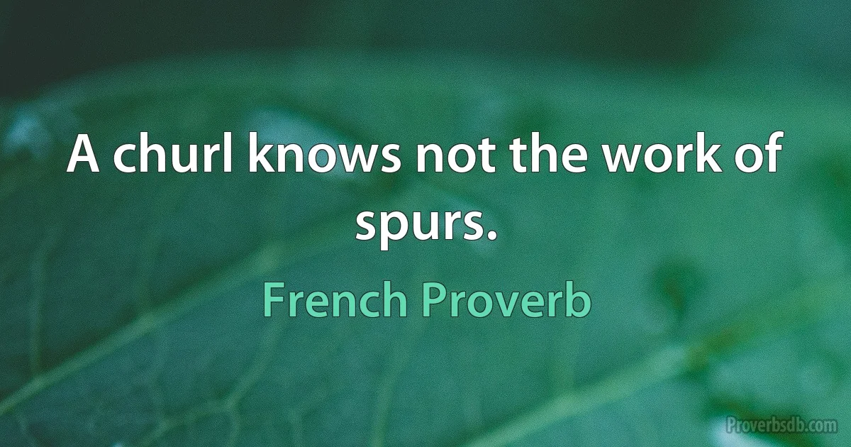 A churl knows not the work of spurs. (French Proverb)