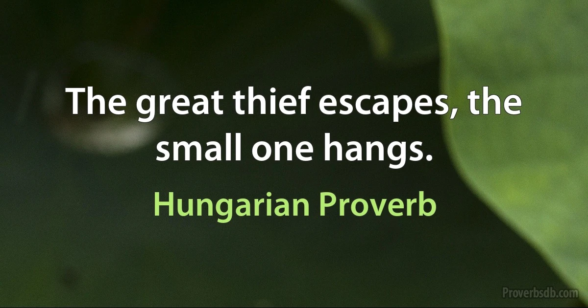 The great thief escapes, the small one hangs. (Hungarian Proverb)