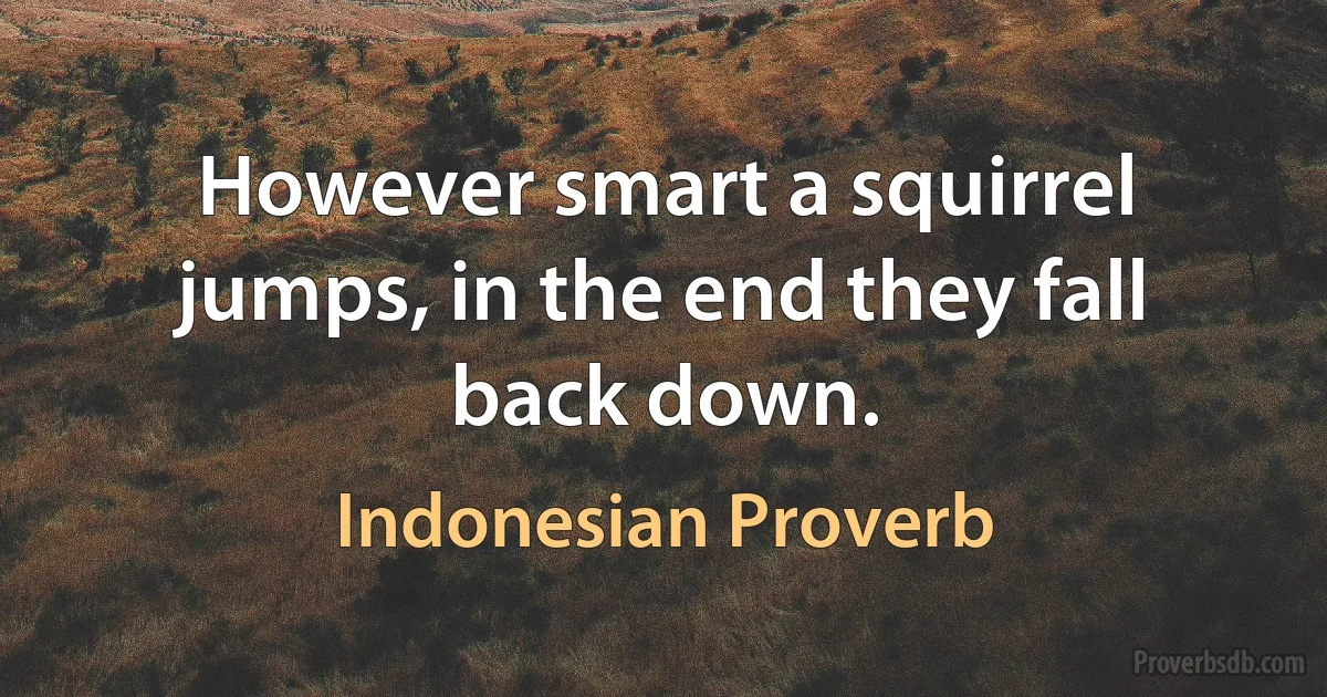 However smart a squirrel jumps, in the end they fall back down. (Indonesian Proverb)