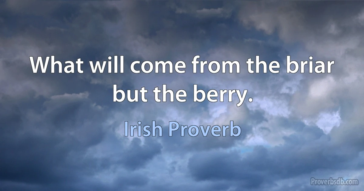 What will come from the briar but the berry. (Irish Proverb)