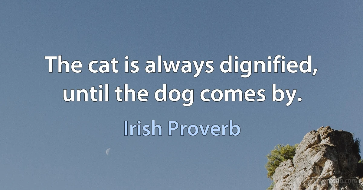 The cat is always dignified, until the dog comes by. (Irish Proverb)