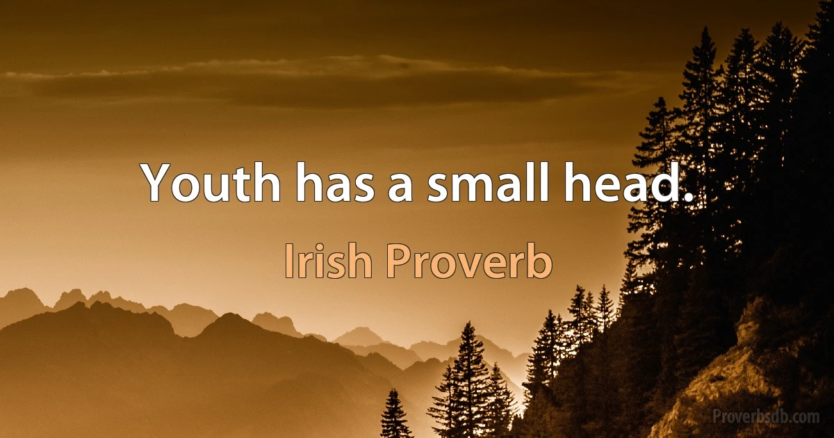 Youth has a small head. (Irish Proverb)