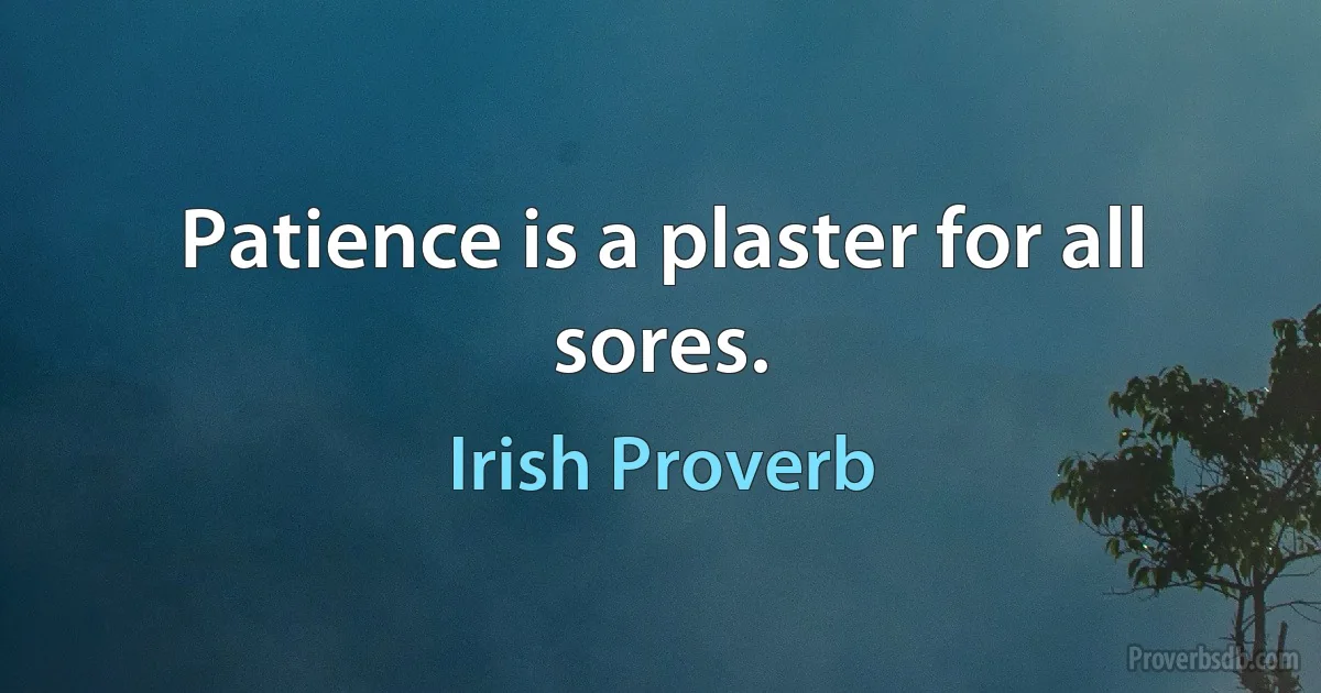 Patience is a plaster for all sores. (Irish Proverb)