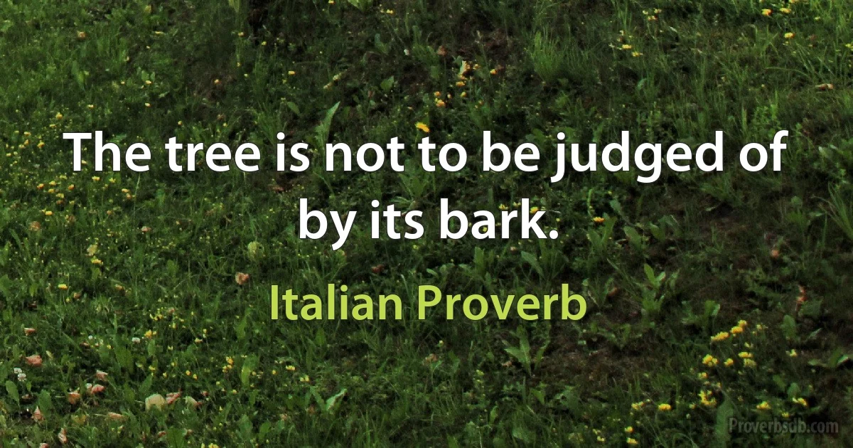 The tree is not to be judged of by its bark. (Italian Proverb)