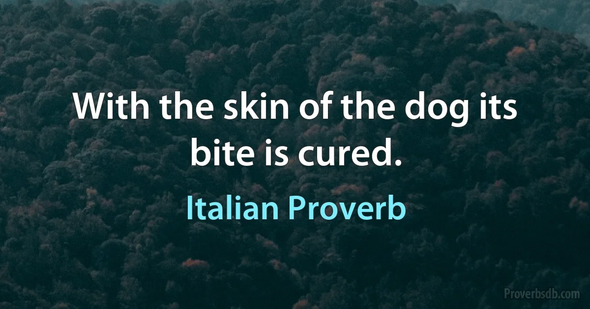 With the skin of the dog its bite is cured. (Italian Proverb)