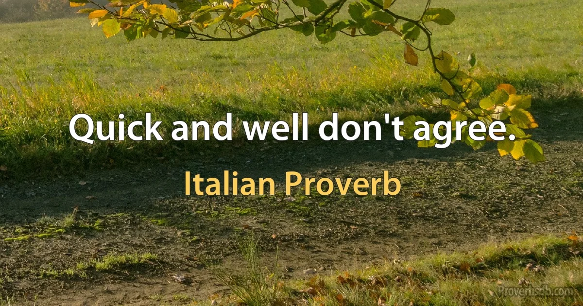 Quick and well don't agree. (Italian Proverb)