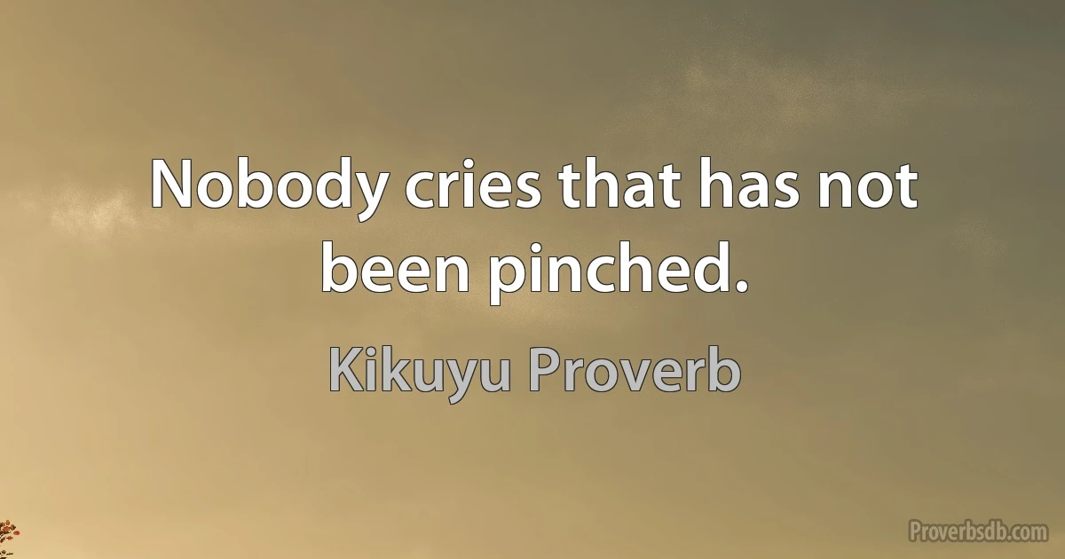 Nobody cries that has not been pinched. (Kikuyu Proverb)