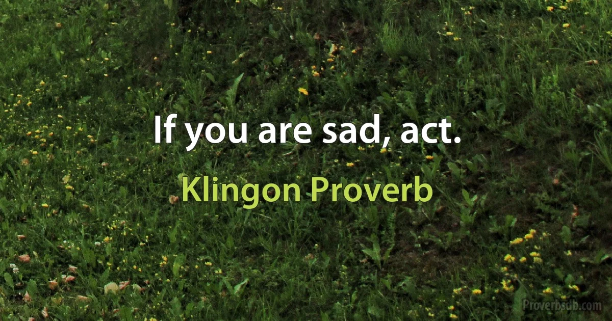 If you are sad, act. (Klingon Proverb)