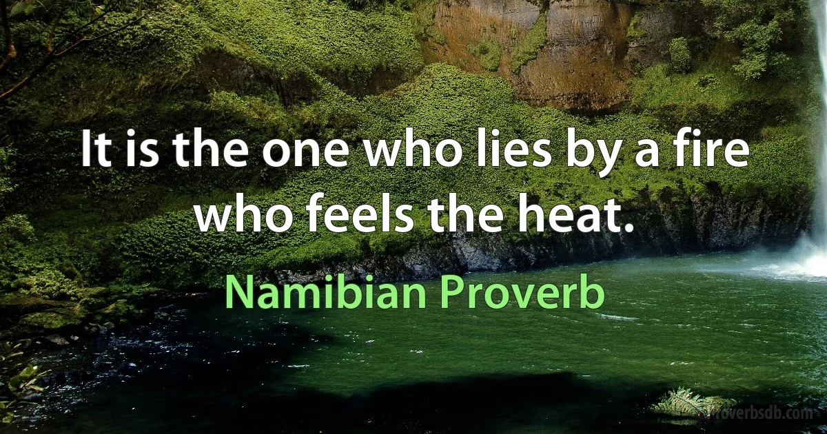 It is the one who lies by a fire who feels the heat. (Namibian Proverb)