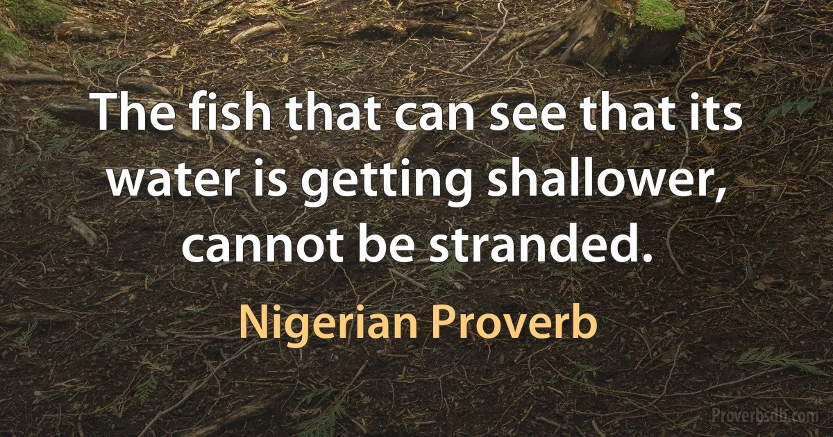 The fish that can see that its water is getting shallower, cannot be stranded. (Nigerian Proverb)