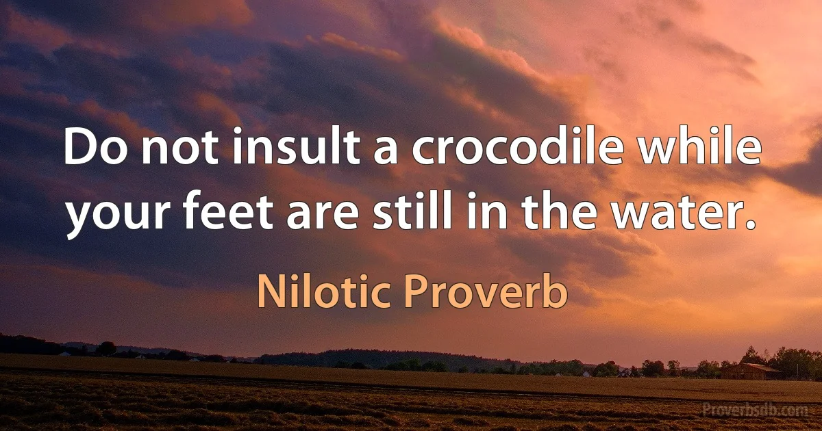 Do not insult a crocodile while your feet are still in the water. (Nilotic Proverb)