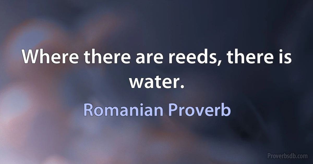 Where there are reeds, there is water. (Romanian Proverb)