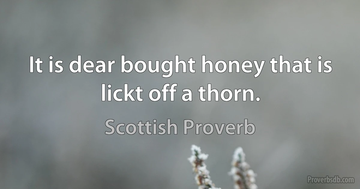 It is dear bought honey that is lickt off a thorn. (Scottish Proverb)