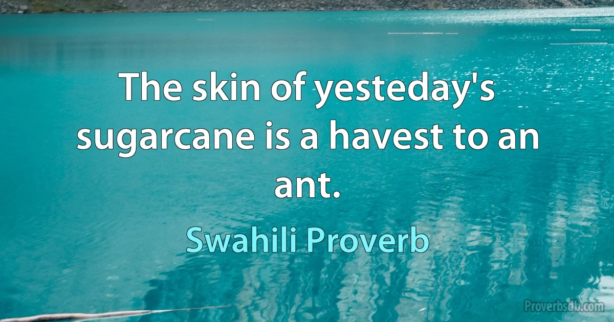 The skin of yesteday's sugarcane is a havest to an ant. (Swahili Proverb)