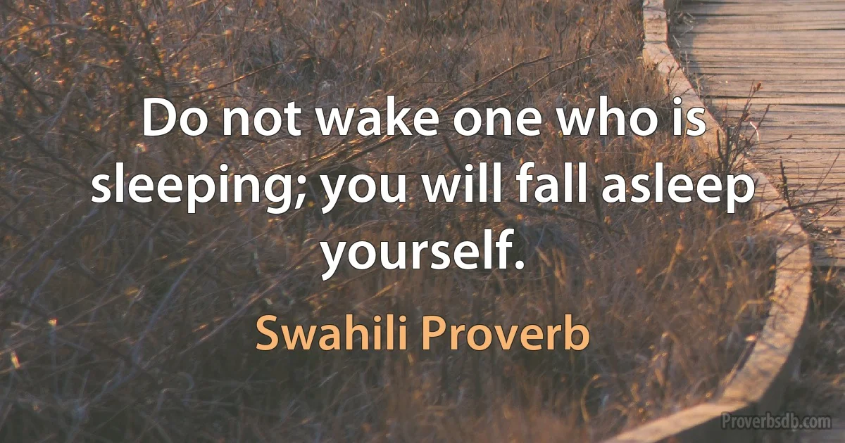 Do not wake one who is sleeping; you will fall asleep yourself. (Swahili Proverb)