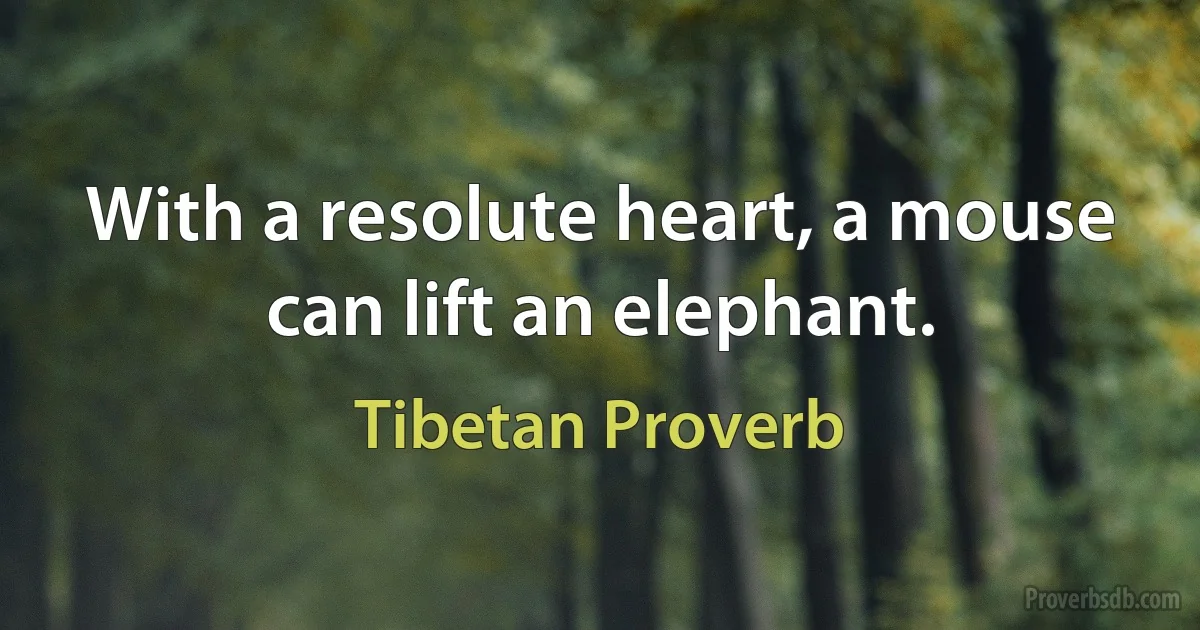 With a resolute heart, a mouse can lift an elephant. (Tibetan Proverb)