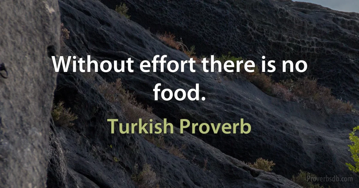 Without effort there is no food. (Turkish Proverb)