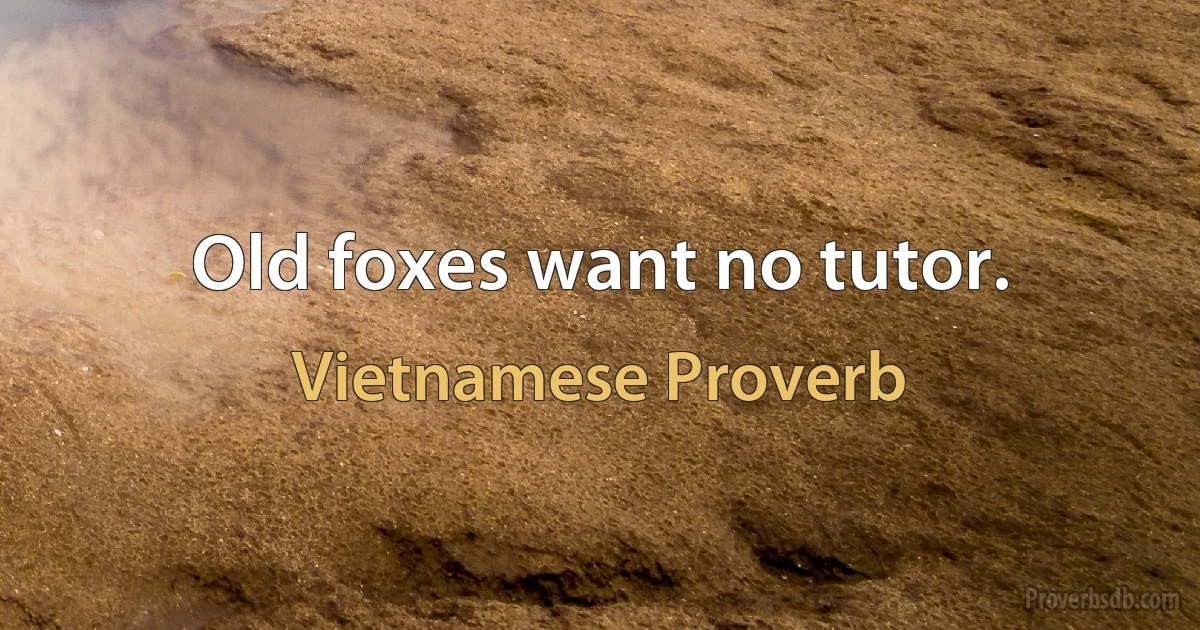 Old foxes want no tutor. (Vietnamese Proverb)