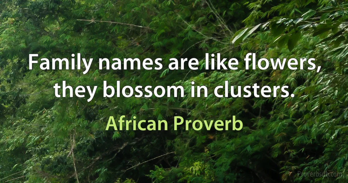 Family names are like flowers, they blossom in clusters. (African Proverb)