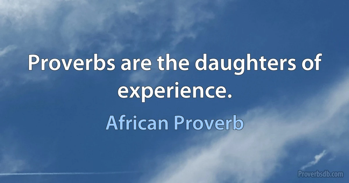 Proverbs are the daughters of experience. (African Proverb)