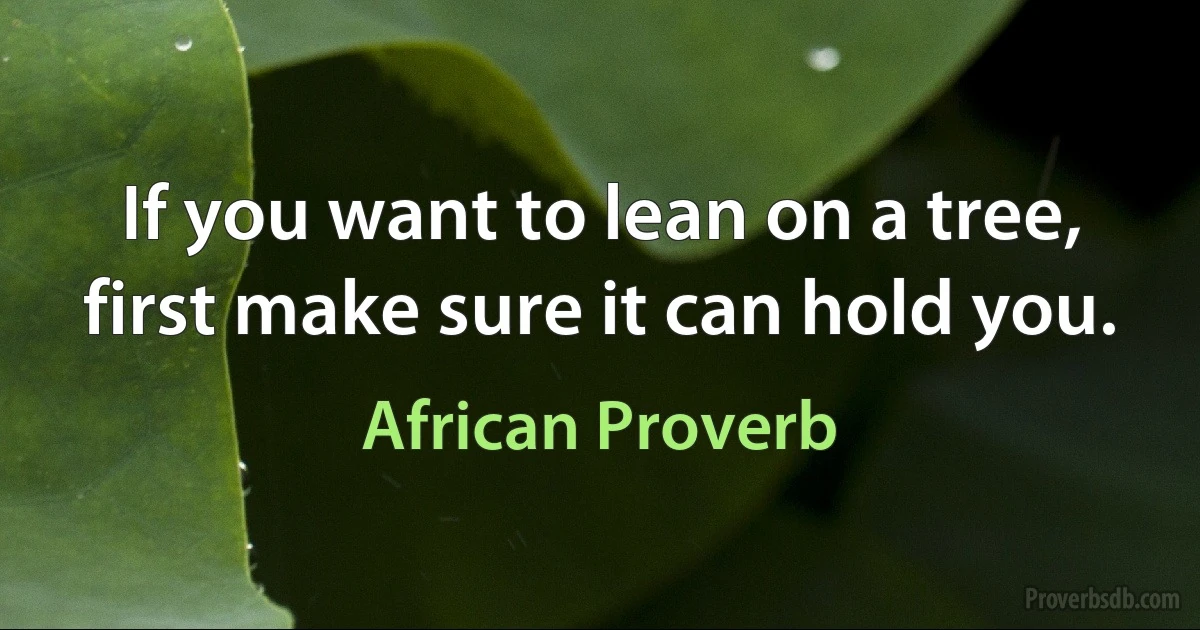 If you want to lean on a tree, first make sure it can hold you. (African Proverb)