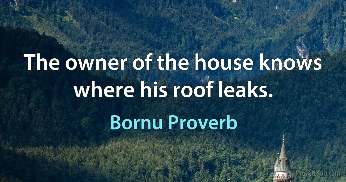 The owner of the house knows where his roof leaks. (Bornu Proverb)