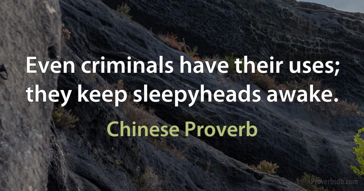 Even criminals have their uses; they keep sleepyheads awake. (Chinese Proverb)