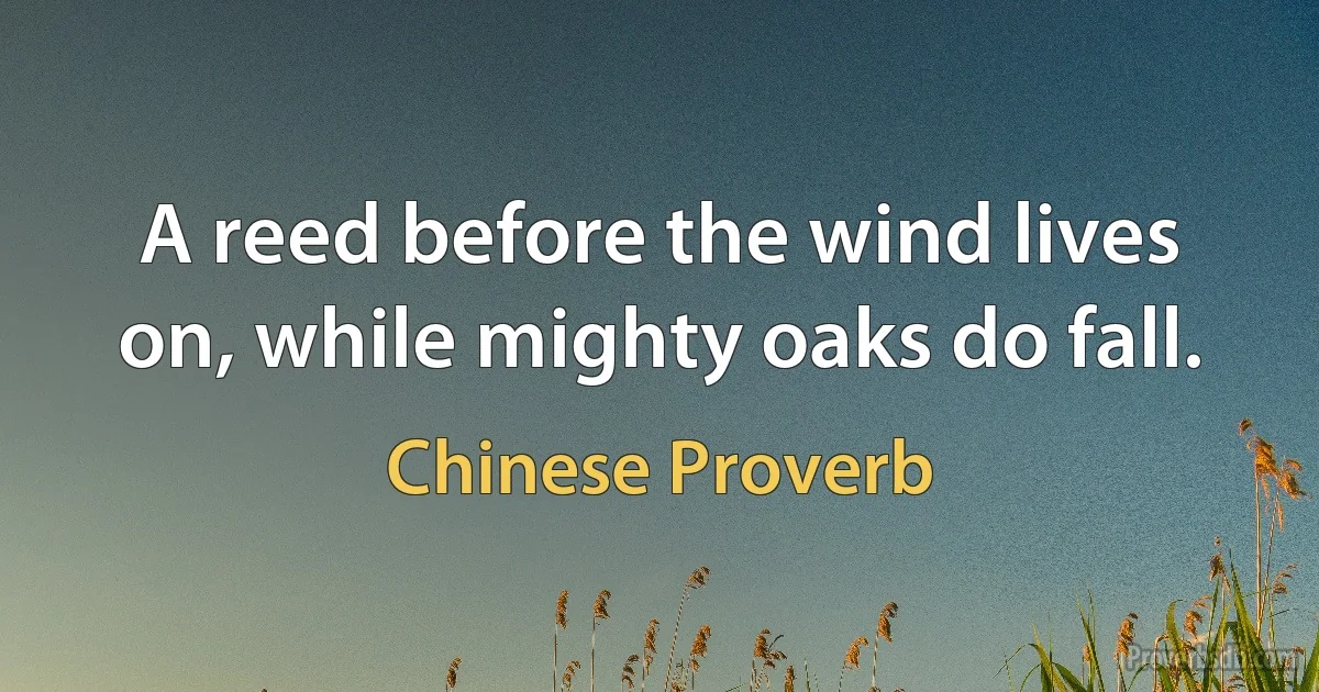 A reed before the wind lives on, while mighty oaks do fall. (Chinese Proverb)