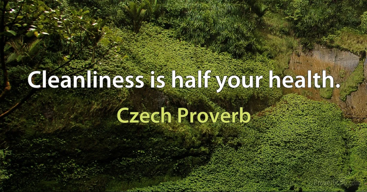 Cleanliness is half your health. (Czech Proverb)