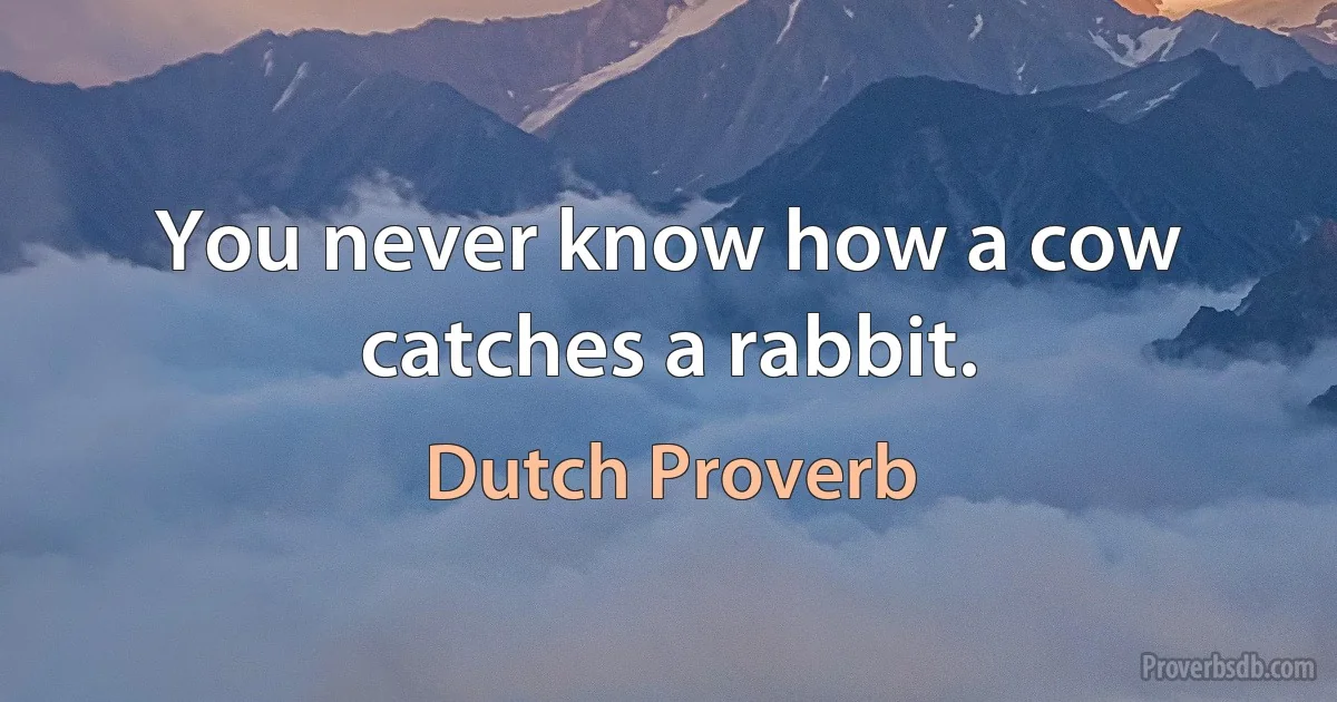 You never know how a cow catches a rabbit. (Dutch Proverb)