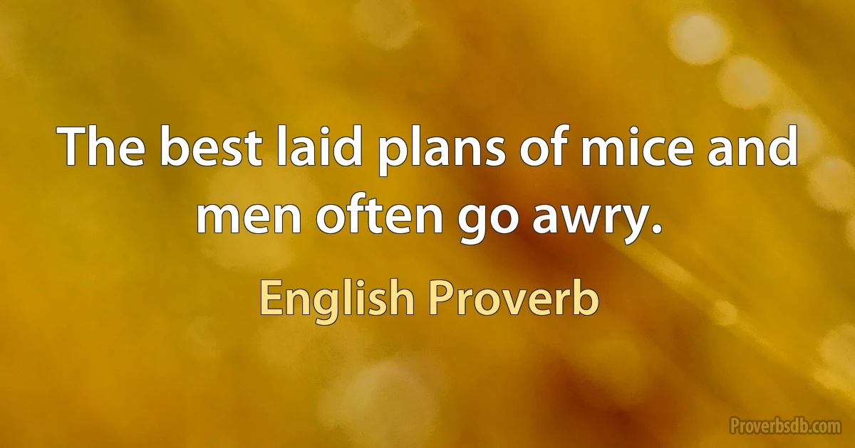 The best laid plans of mice and men often go awry. (English Proverb)