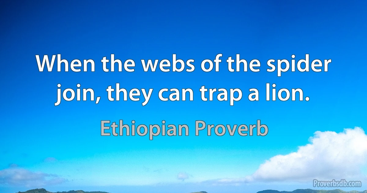 When the webs of the spider join, they can trap a lion. (Ethiopian Proverb)