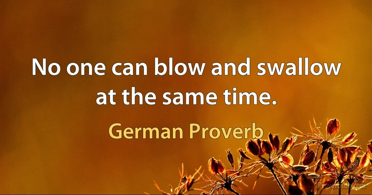 No one can blow and swallow at the same time. (German Proverb)