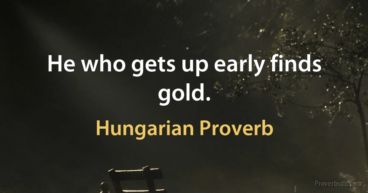 He who gets up early finds gold. (Hungarian Proverb)