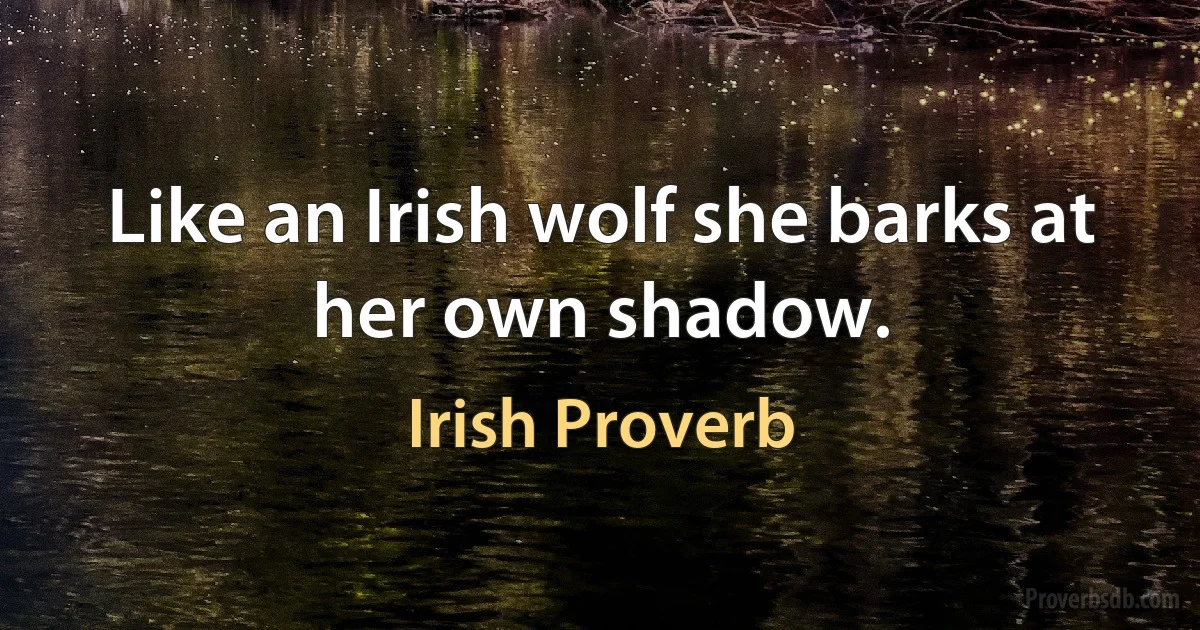 Like an Irish wolf she barks at her own shadow. (Irish Proverb)