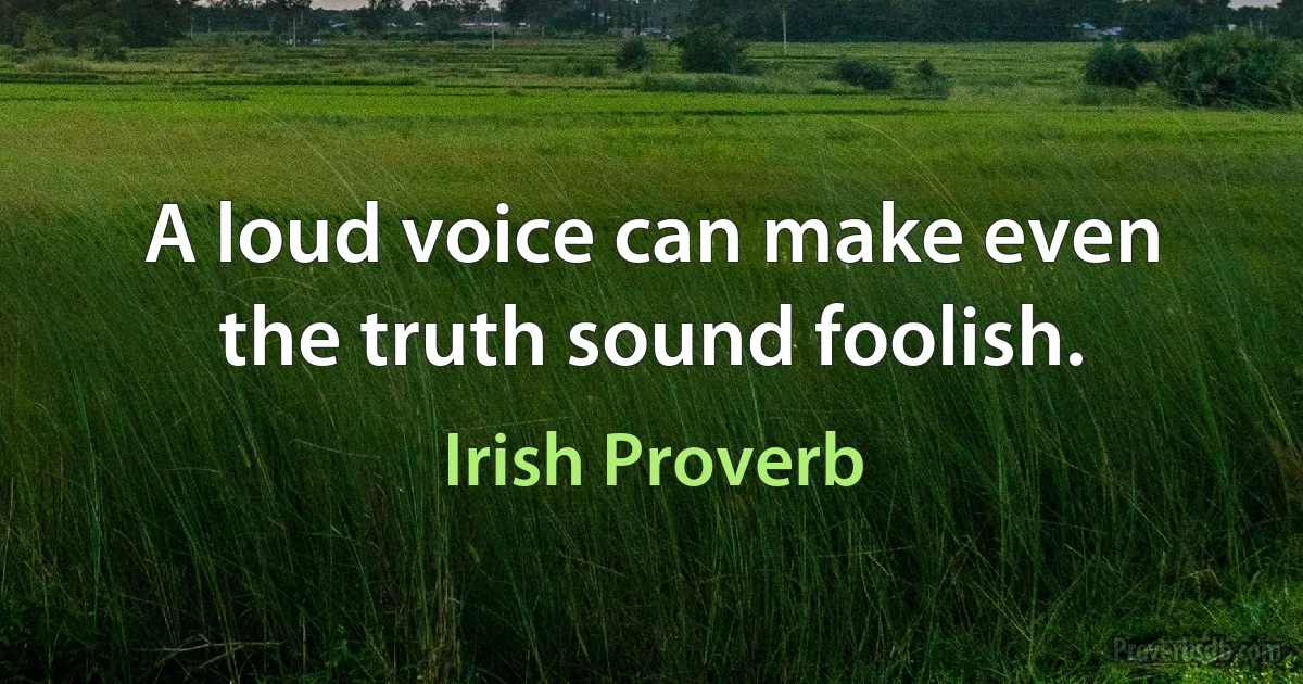 A loud voice can make even the truth sound foolish. (Irish Proverb)