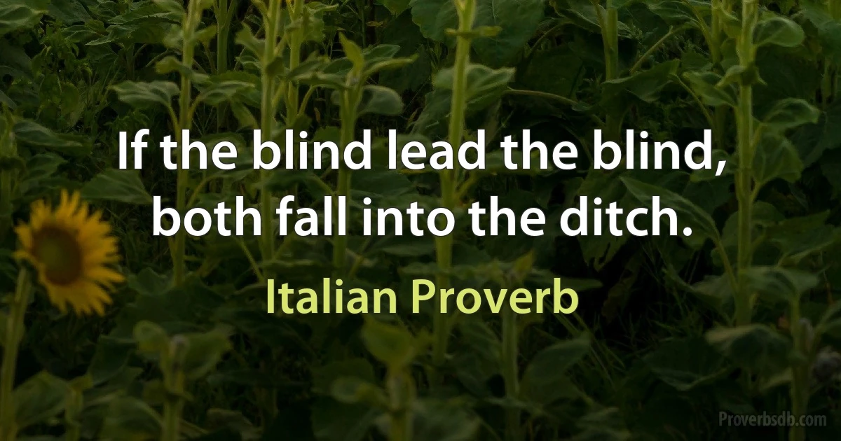 If the blind lead the blind, both fall into the ditch. (Italian Proverb)