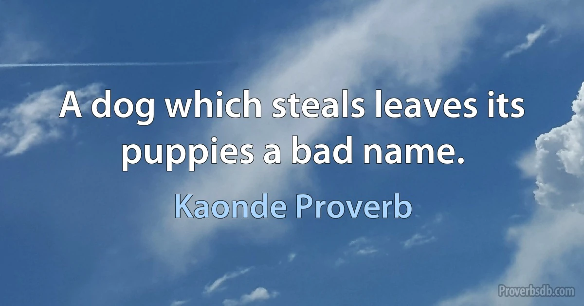 A dog which steals leaves its puppies a bad name. (Kaonde Proverb)