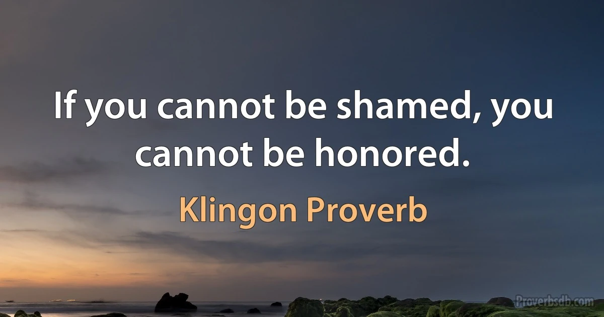 If you cannot be shamed, you cannot be honored. (Klingon Proverb)