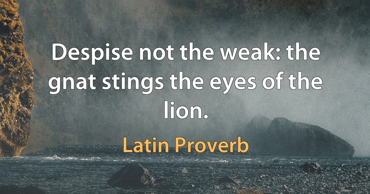 Despise not the weak: the gnat stings the eyes of the lion. (Latin Proverb)