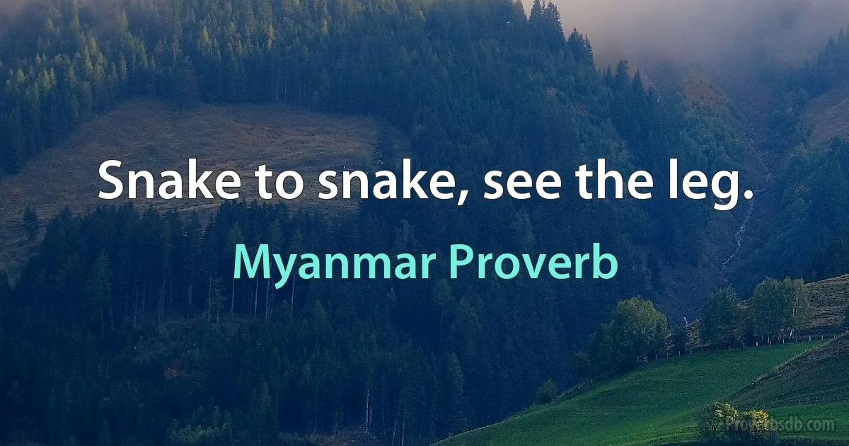 Snake to snake, see the leg. (Myanmar Proverb)